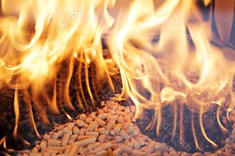 Wood pellets