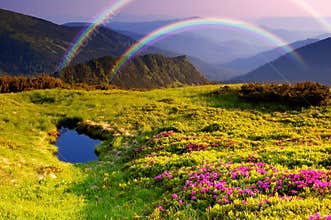 Mountain landscape with Flowers and a rainbow