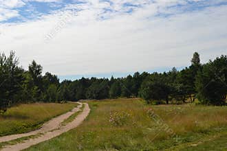 Nature Kaliningrad region polessk