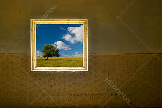 The world outside