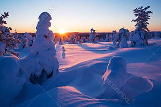 Beautiful pink and lilac sunset in a cold wintery day in winter wonderland