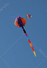 Colourful Kites in the sky