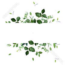 Herbal horizontal vector frame. Hand painted plants