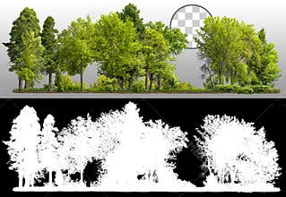 Cutout tree line. Forest landscape