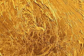 Gold leaf