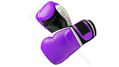 Boxing gloves close-up on isolated on white background. Purple boxing gloves.
