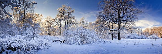 Winter panorama of a park