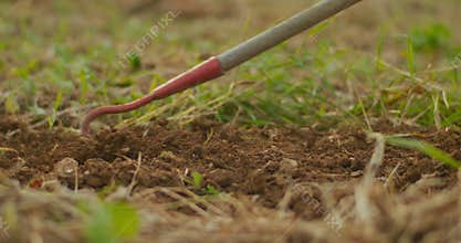 Male Farmer Hoeing Weeds Preparing Soil for Vegetables