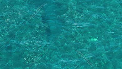 Aerial View of Turquoise Ocean and Coral Reefs