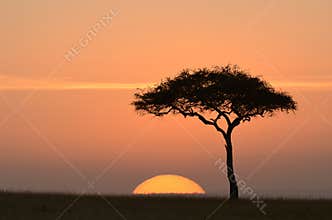 Sunset in africa