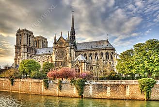 Notre Dame de Paris Cathedral