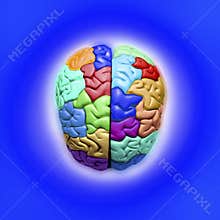 Blue Brain