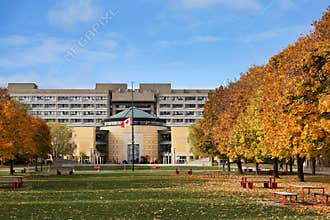 York University in Toronto, with trees in brilliant fall colors