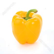 Yellow Bell Pepper