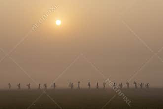 Going to the fishing togather in a winter morning