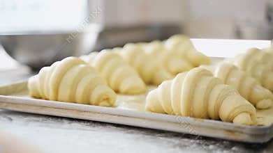 Handmade croissant dough before baking