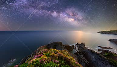 Plankton bloom sea milky way at night sky
