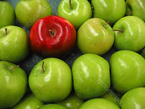 One apple among lots of green