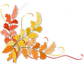 Autumn leaves