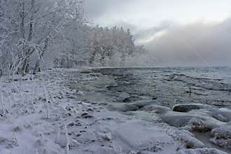 Gray winter landscape with forest on the coastline