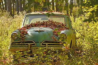 Nature takes it back, when humans forget