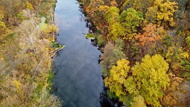 Autumn aerial look down on river in yellow forest