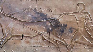 Ancient Egyptian hieroglyphs and bas-reliefs close-up in Temple of Seti I in Abydos, Egypt. Temple of Seti I