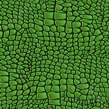 Leather animal snake textures reptile crocodile