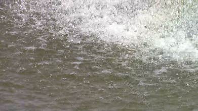 Sparkling waters