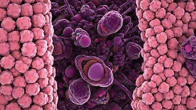 Microscopic View of Cells and Cell Structures with Purple, Pink, and Orange Hues for Medical Visualization and Research