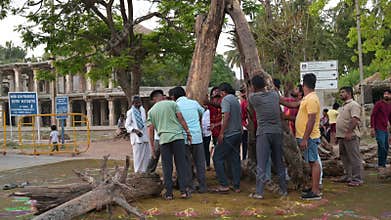 Holika Dahan, men collect wood for ritual bonfire, Kolam colorful painting, evening of holi festival in India, burning the evil,