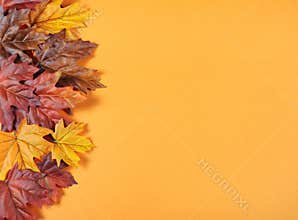 Autumn Leaves on modern trend orange background