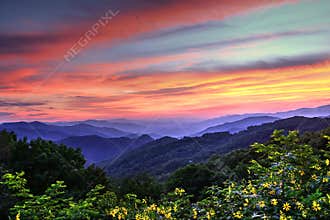 Blue Ridge Mountain Color