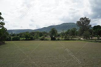 The view of the rice fields with farmers planting rice