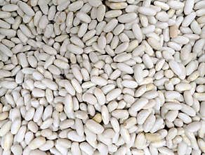 White beans spread out on a table in a market setting during daylight hours