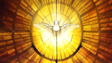 Stained Glass Vatican dove (Loop)