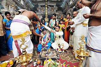 Indian Wedding