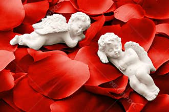 Two angels sleeping in valentine rose petals