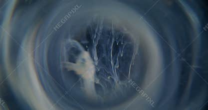 Haze flow blur pigment splash paint blot round