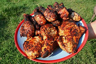 Plate of grilled chicken 2