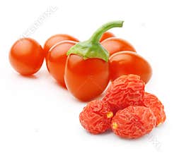 Goji berry isolated