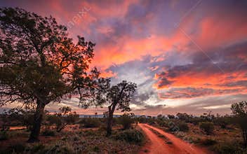 Pink clouds at sunrise highlight a dirt track through dry outback country.