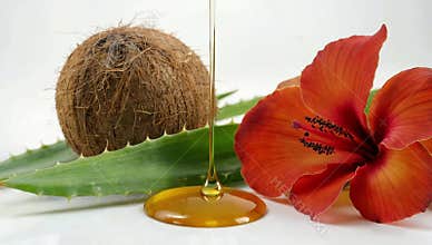 Natural beauty composition featuring coconut aloe vera hibiscus and flowing golden oil drop