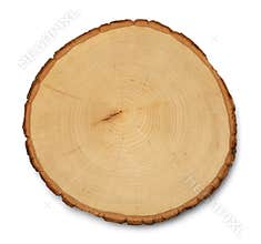Tree Cross Section