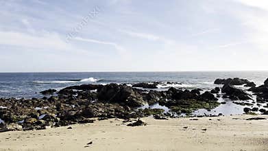 Atlantic Ocean coastline near Porto, Portugal, sandy beach with seagulls