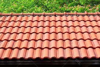 Red roof with tree