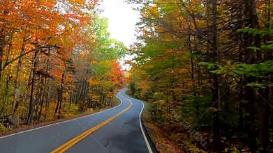 TimeLapse - Driving Under Trees and Around Curves as Trees Change Colors During Fall in Vermont