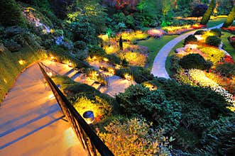 Garden summer night