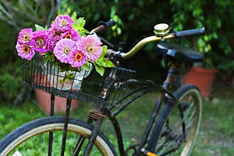 Bicycle with flowers