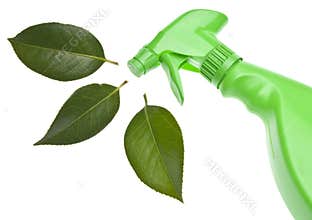 Green Cleaning